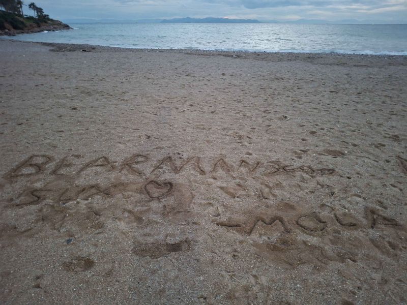 File:Bearman sux - mola.jpg