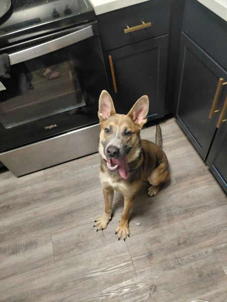 File:ZukoTheDawg.jpg