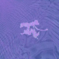Thumbnail for version as of 03:38, 20 April 2026